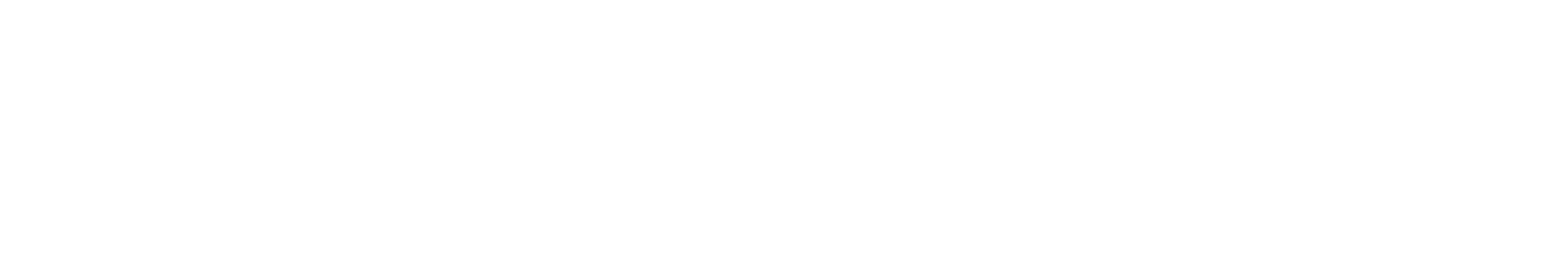 friendventure_logo_sailec-negativ-ohneRahmen